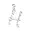 Picture of 'H' FOR HOTEL